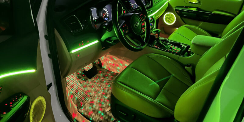 led vien noi that doi mau