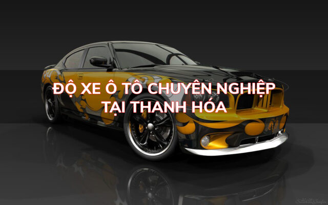 do xe o to tai thanh hoa chuyen nghiep