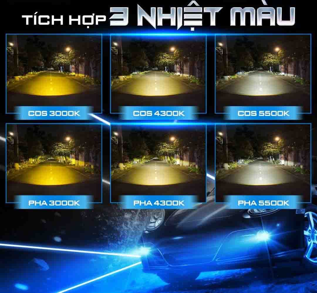 den bi gam x light 301 v2 5