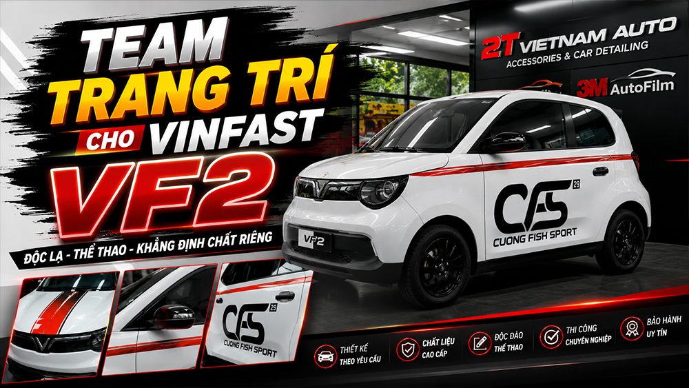 team trang tri cho vinfast vf2